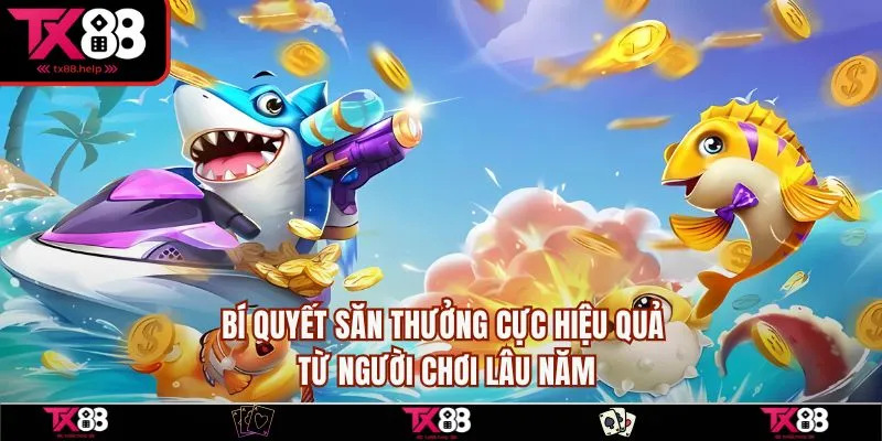 Bí quyết săn thưởng cực hiệu quả từ người chơi lâu năm